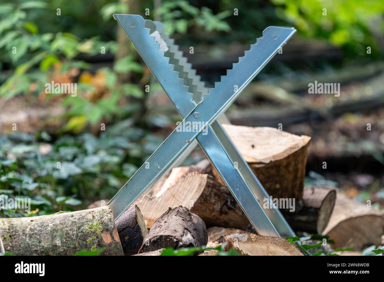 Brennholz mit Holzbock im Garten zuschneiden Banque D'Images