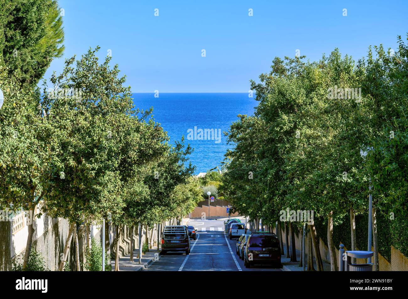 Paysage marin avec des lignes de guidage des arbres, San Juan, Alicante, Espagne Banque D'Images