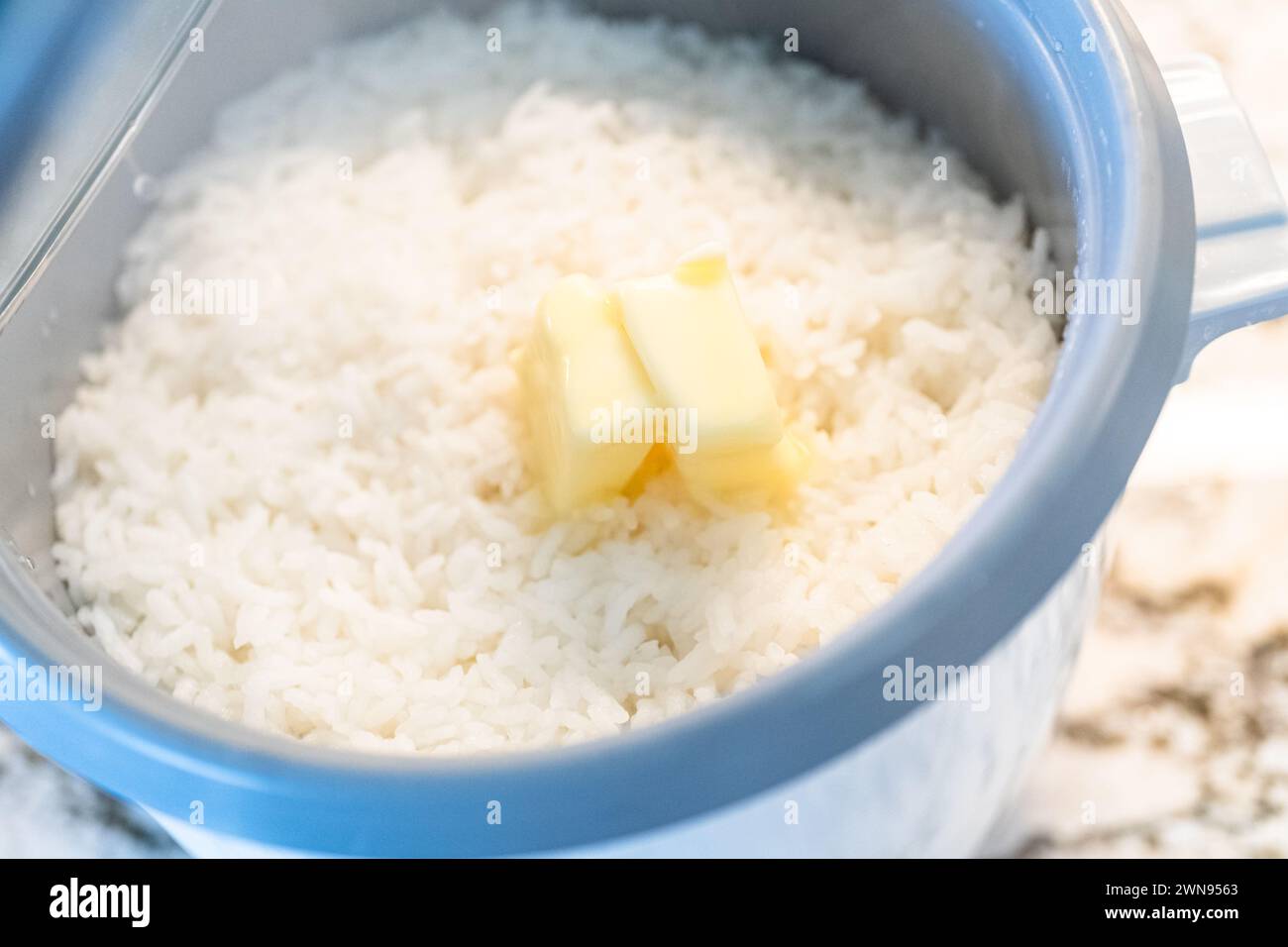 Calrose Rice Delight : cuisson sans effort dans un cuiseur à riz Banque D'Images Calrose Rice Delight : cuisson sans effort dans un cuiseur à riz Banque D'Images