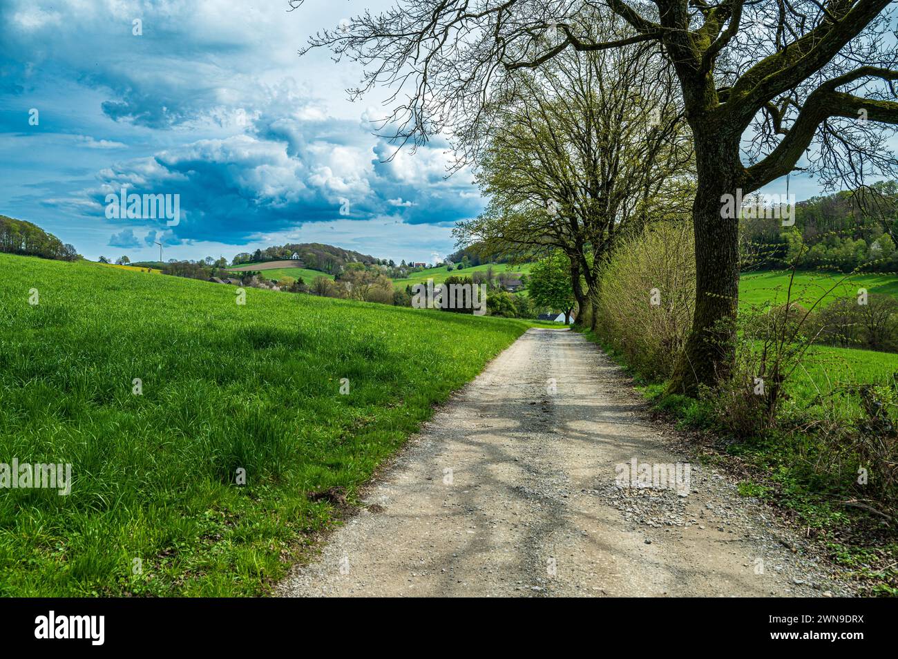 Un sentier pittoresque mène à travers un paysage de prairie verdoyante sous un ciel bleu nuageux, Deilbachtal, Velbert, Mettmann, Rhénanie du Nord-Westphalie Banque D'Images