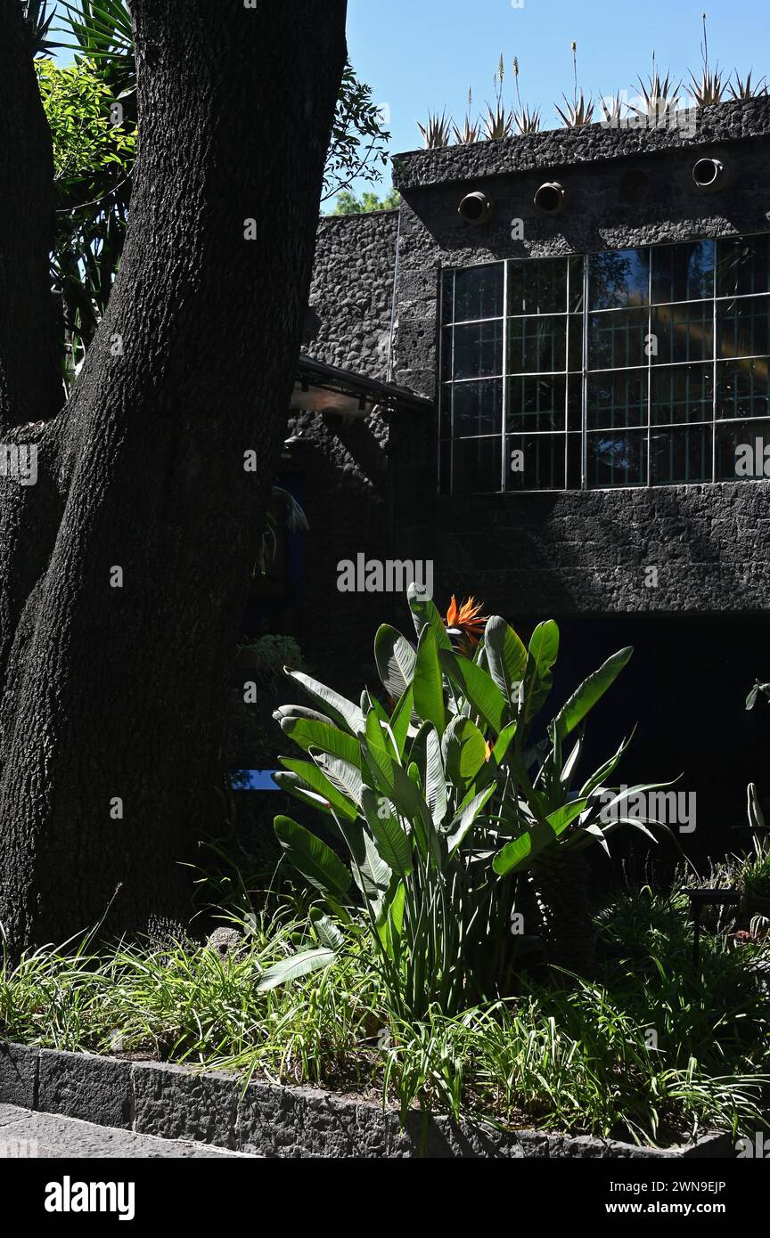 Museo Frida Kahlo, Casa Azul, Coyoacan, Mexico Banque D'Images