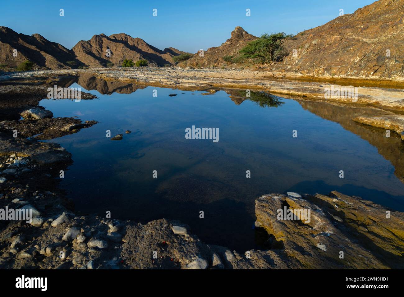 Une petite oasis avec d'énormes montagnes en arrière-plan, belle vue tôt le matin de Sharjah. Banque D'Images