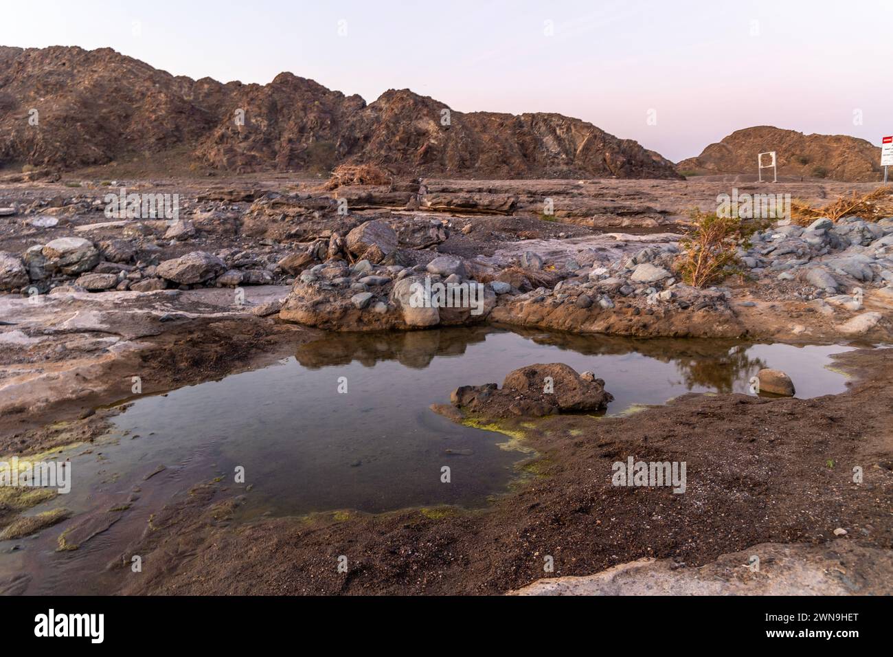 Une petite oasis avec d'énormes montagnes en arrière-plan, belle vue tôt le matin de Sharjah. Banque D'Images