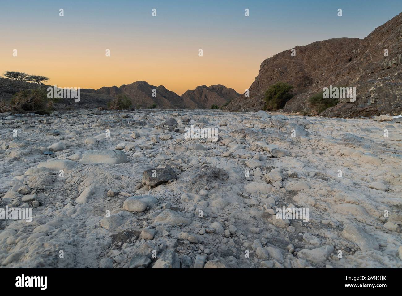 Une petite oasis avec d'énormes montagnes en arrière-plan, belle vue tôt le matin de Sharjah. Banque D'Images