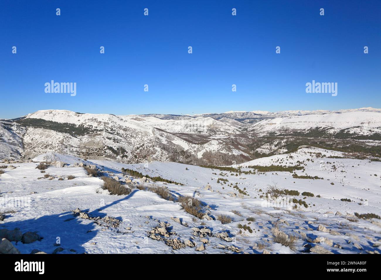 Plateau de caussols sous la neige, Alpes Maritimes, 06, Côte d'Azur, France Banque D'Images