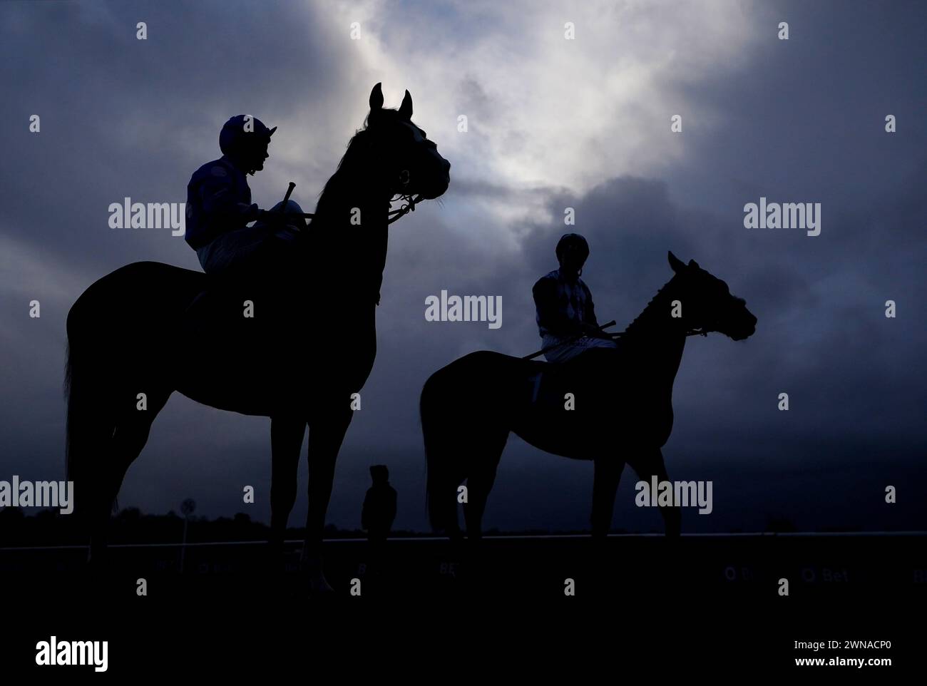 Coureurs qui vont poster avant le BetUK AWC Middle distance Trial handicap à l'hippodrome de Lingfield Park, Surrey. Date de la photo : vendredi 1er mars 2024. Banque D'Images