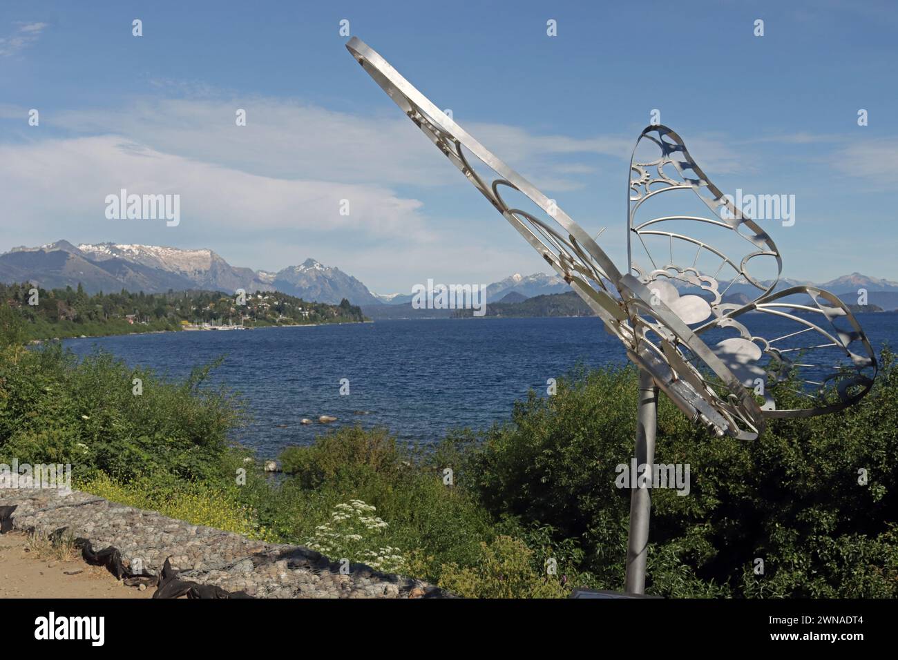 Papillon sur la côte du lac Nahuel Huapi. Banque D'Images