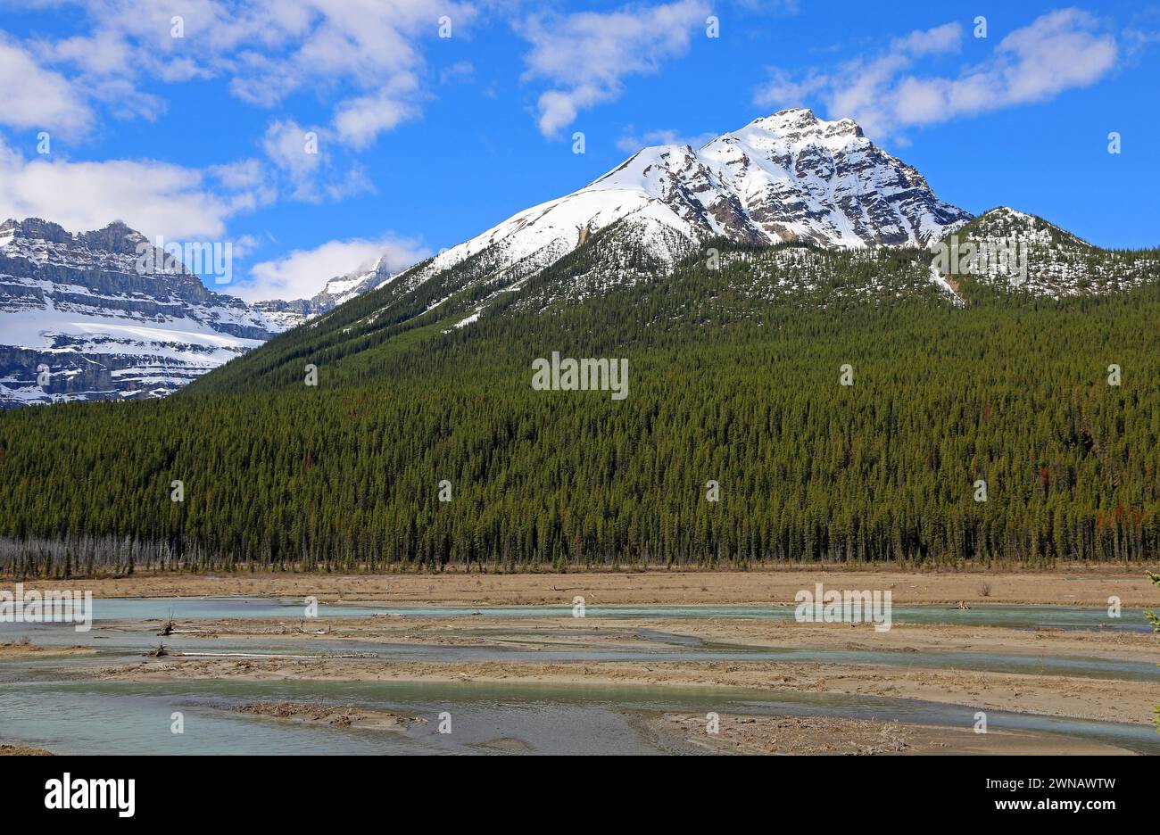 Vallée de la rivière Sunwapta, Canada Banque D'Images