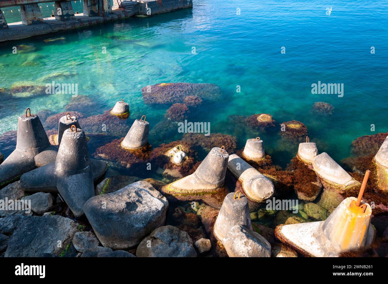 Protection contre l'impact des vagues de tempête. Capsules Tetra pour renforcer le bord de mer. Brise-lames sur la côte de la mer. Brise-lames en béton. Banque D'Images