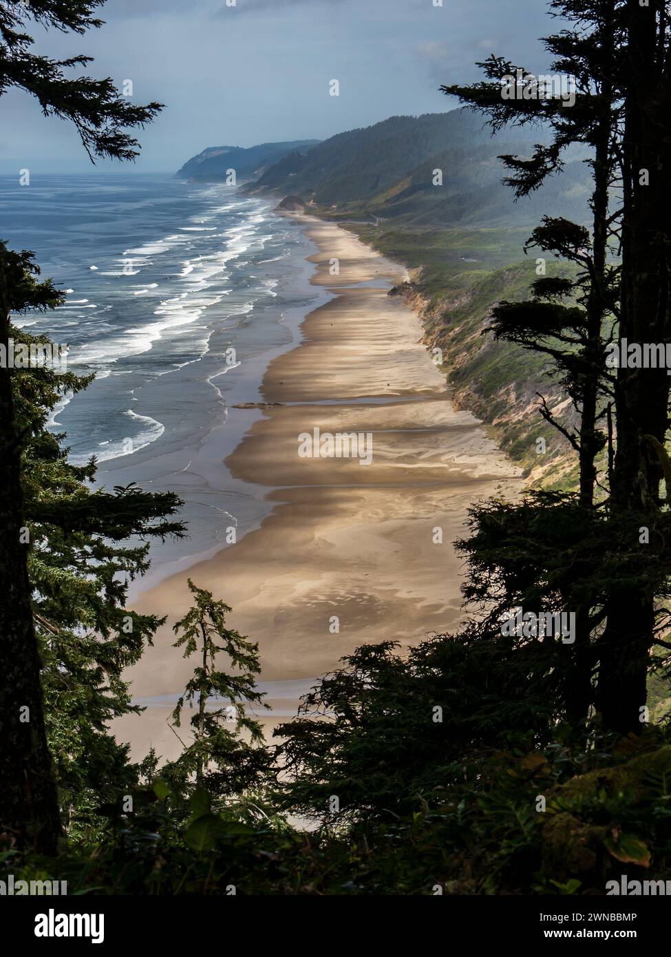 North Beach depuis le sentier Heceta Head au nord de Florence, Oregon. Banque D'Images