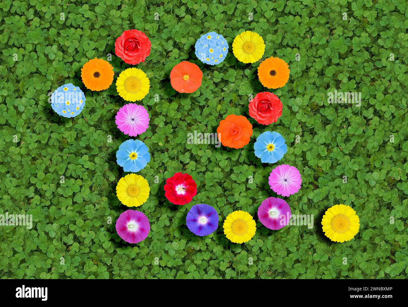 nombre écrit avec des fleurs colorées sur fond de trèfle vert Banque D'Images