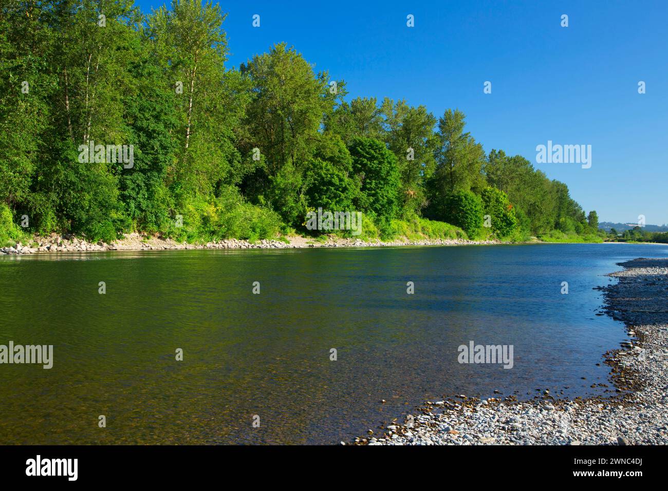 Santiam River, comté de Marion, Illinois Banque D'Images