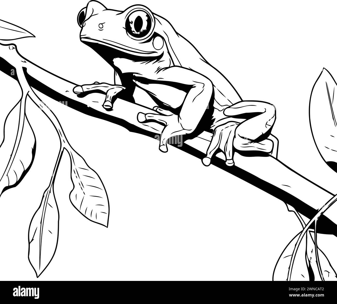 illustration d'une grenouille assise sur une branche d'arbre. esquissez pour votre conception Illustration de Vecteur