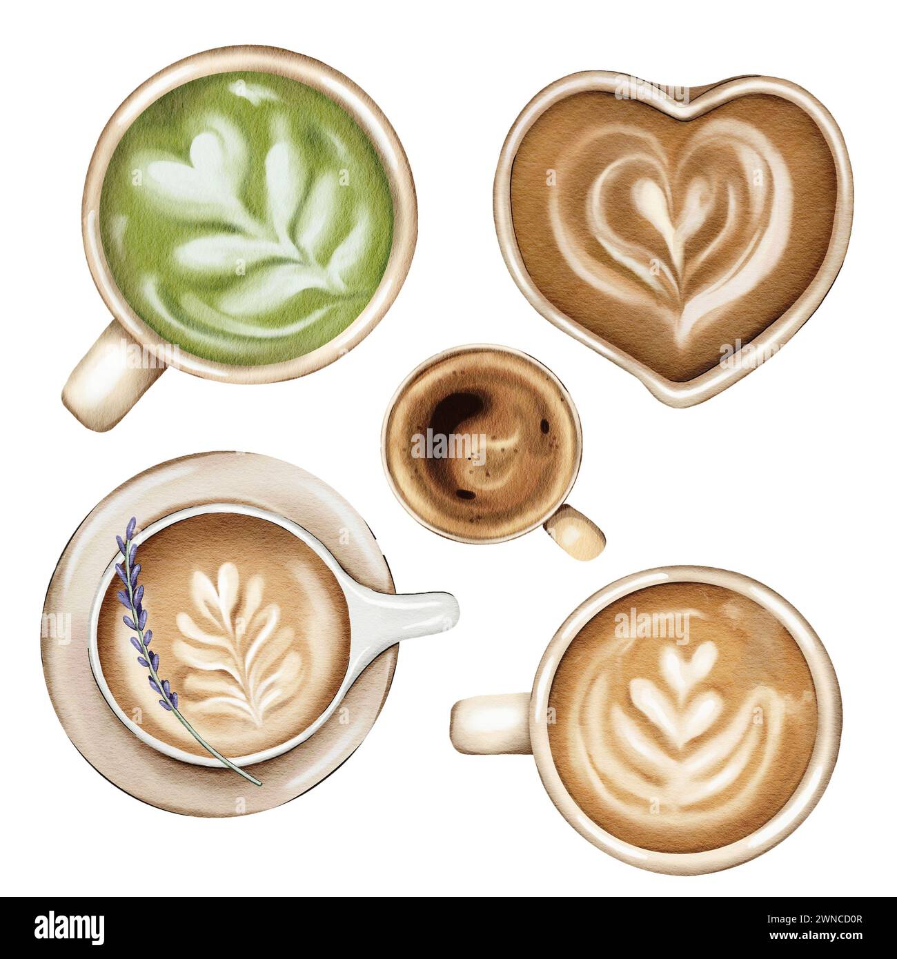 Illustration de l'ensemble de café aquarelle Banque D'Images Illustration de l'ensemble de café aquarelle Banque D'Images
