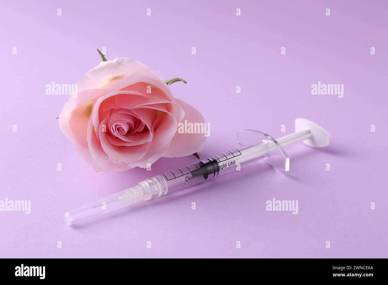 Cosmétologie. Seringue médicale et fleur de rose sur fond violet Banque D'Images