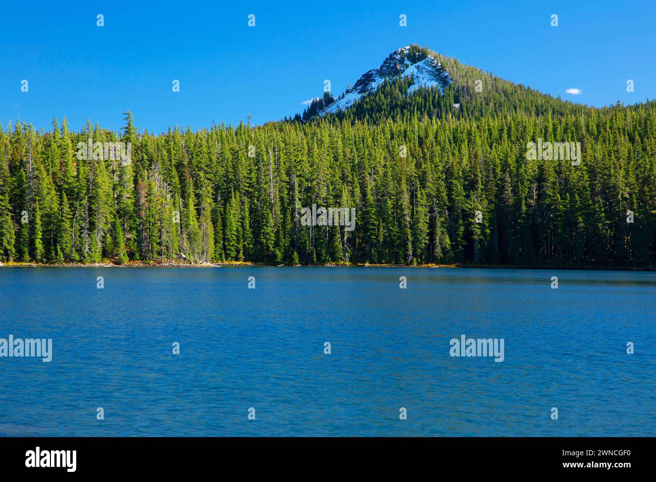 Charlton Lake avec Gerdine Butte, forêt nationale de Deschutes, Oregon Banque D'Images