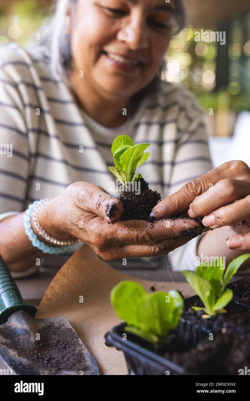 Femme biraciale senior plante un semis avec soin, ses mains couvertes de terre Banque D'Images