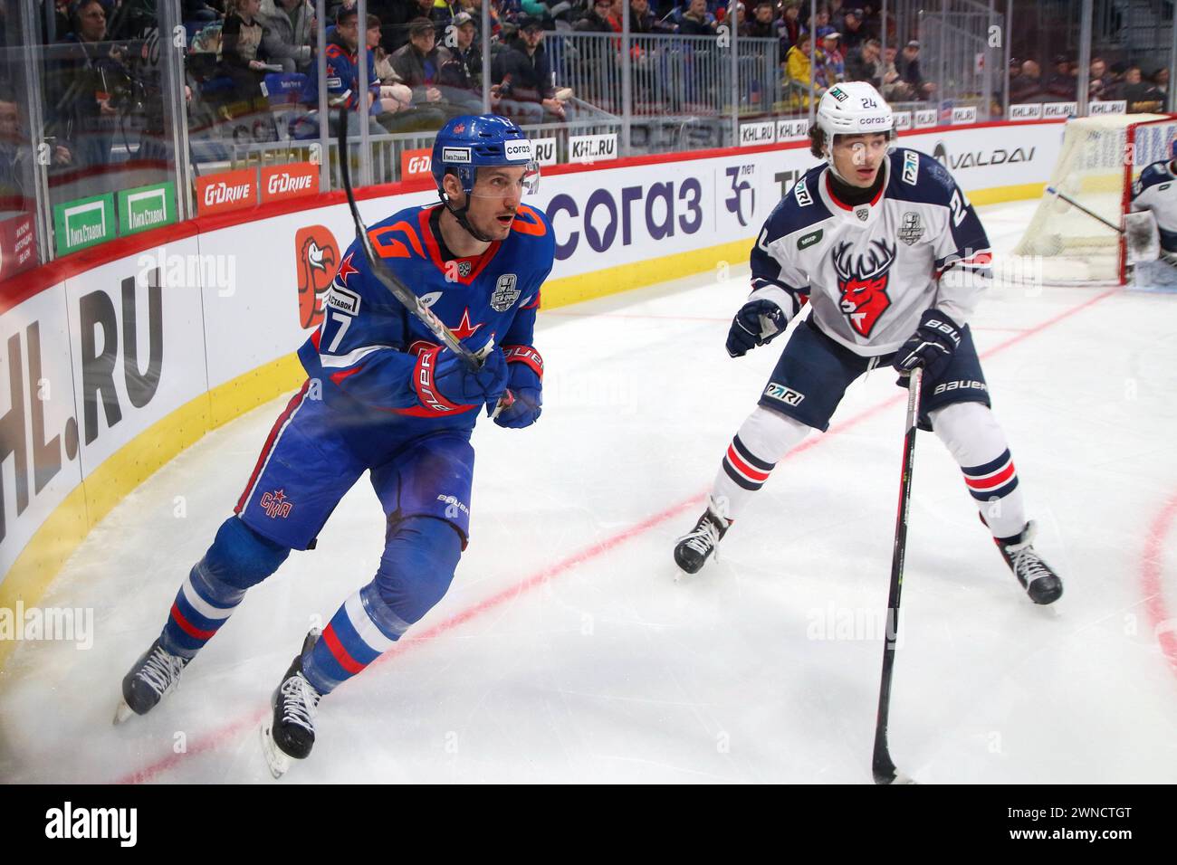 Saint-Pétersbourg, Russie. 01 mars 2024. Joueur du club de hockey SKA, Borna Rendulic (17) et joueur du club de hockey torpille, Dmitry Breus (24) vu en action lors du match la Ligue Kontinental de hockey, Coupe Gagarine, match 1, 1/8 finales saison KHL 2023 - 2024 entre SKA Saint Petersburg - Torpedo Nijny Novgorod à la SKA Arena. (Score final ; SKA Saint Petersburg 2:5 Torpedo Nizhny Novgorod) (photo de Maksim Konstantinov/SOPA images/Sipa USA) crédit : Sipa USA/Alamy Live News Banque D'Images