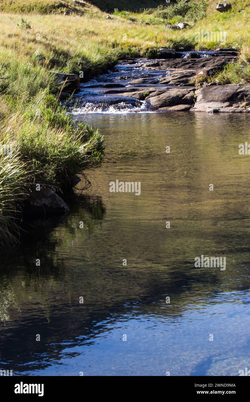 Un ruisseau de montagne, reflétant les pentes herbeuses environnantes des montagnes Drakensberg à Cobham, en Afrique du Sud Banque D'Images