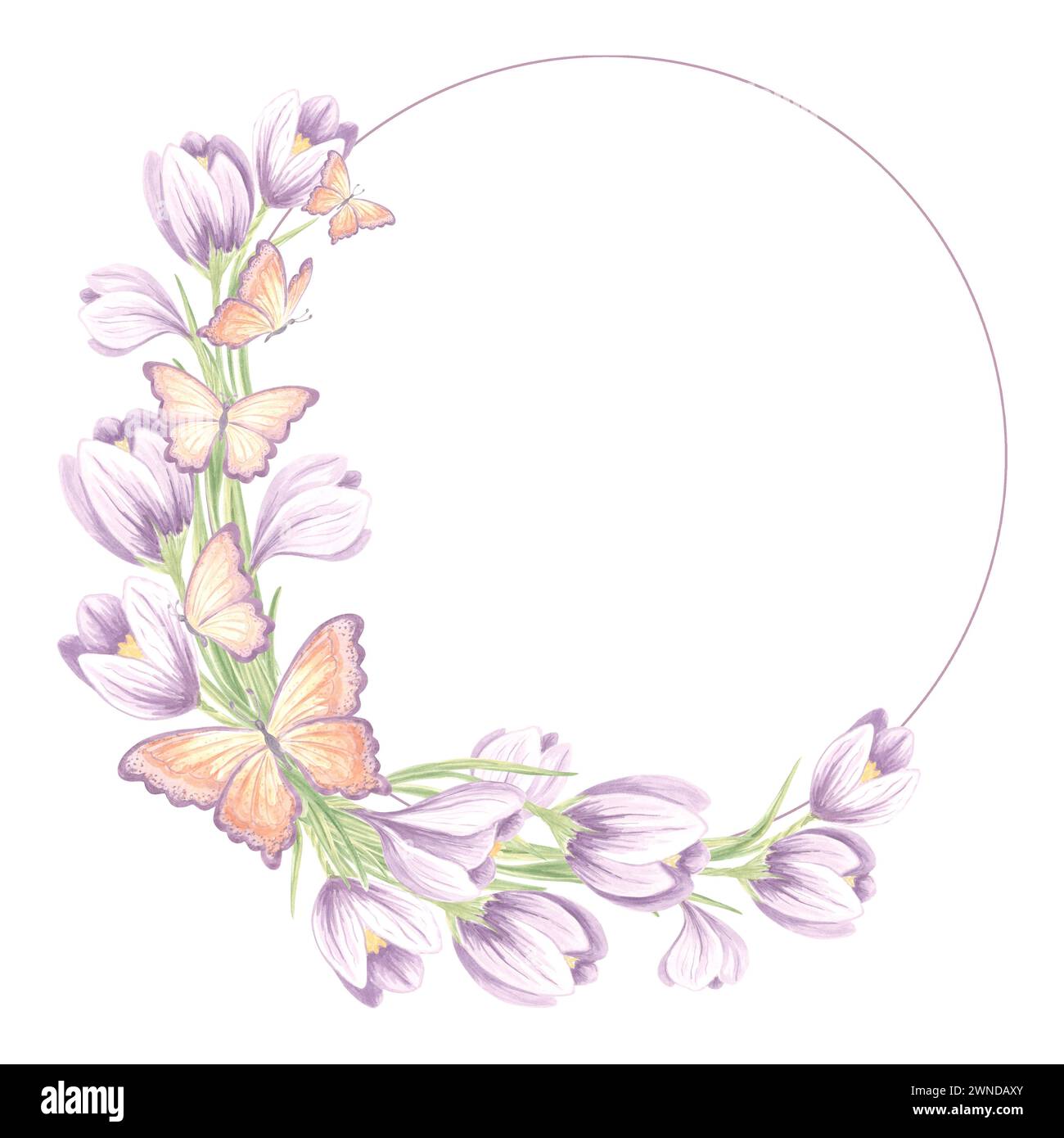 Cadre rond de fleurs de crocus avec des papillons. Illustration isolée de l'aquarelle dessinée à la main. Couronne printanière florale de safran. Modèle avec copie spa Banque D'Images