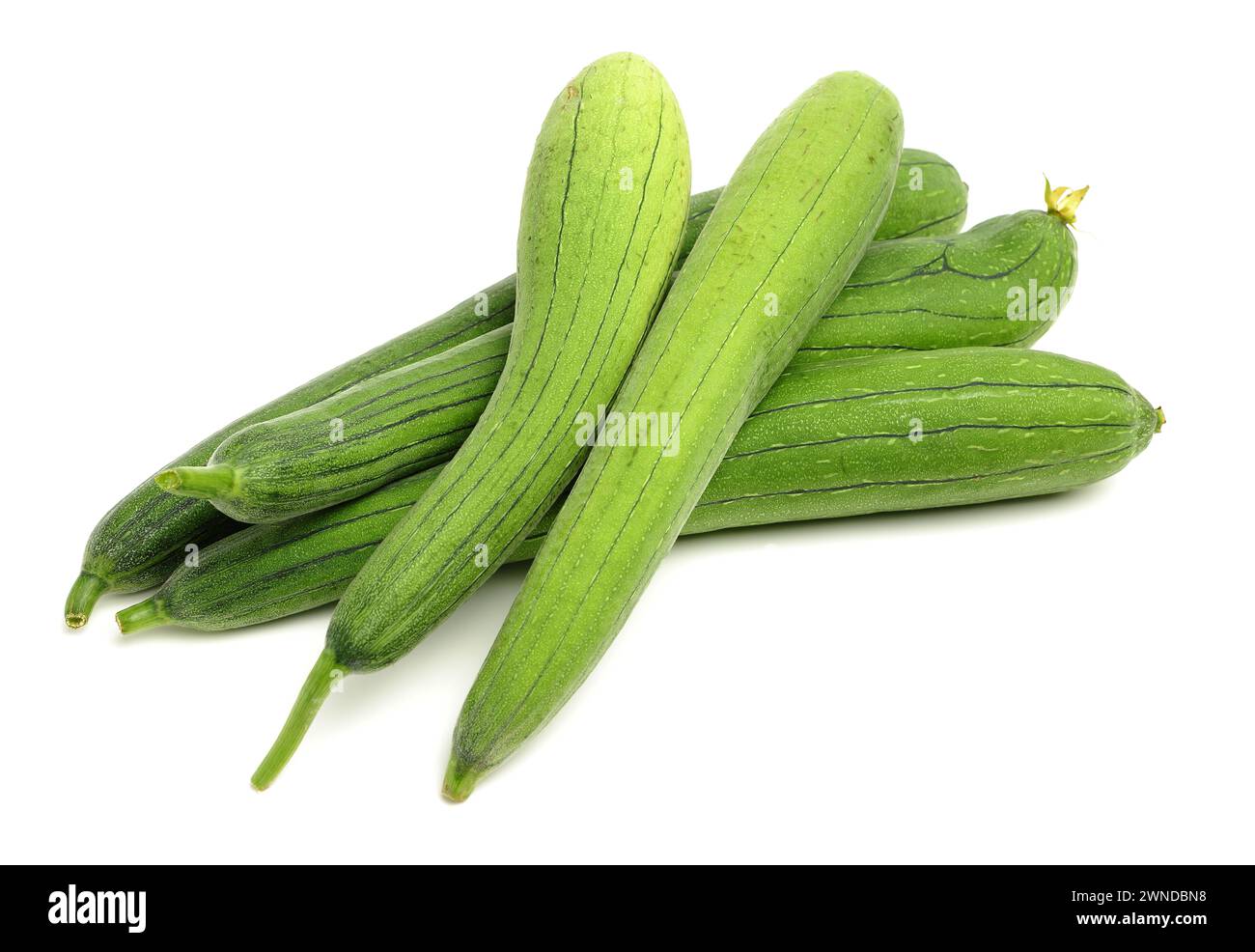 Loofah frais sur le fond blanc Banque D'Images