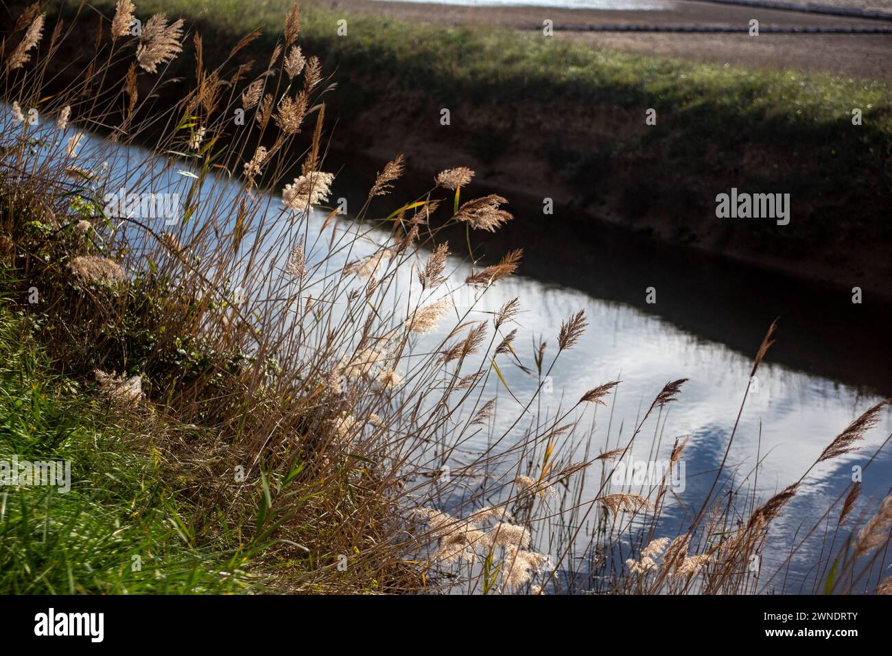 un canal qui évacue l'eau de pluie autour de la salière Banque D'Images