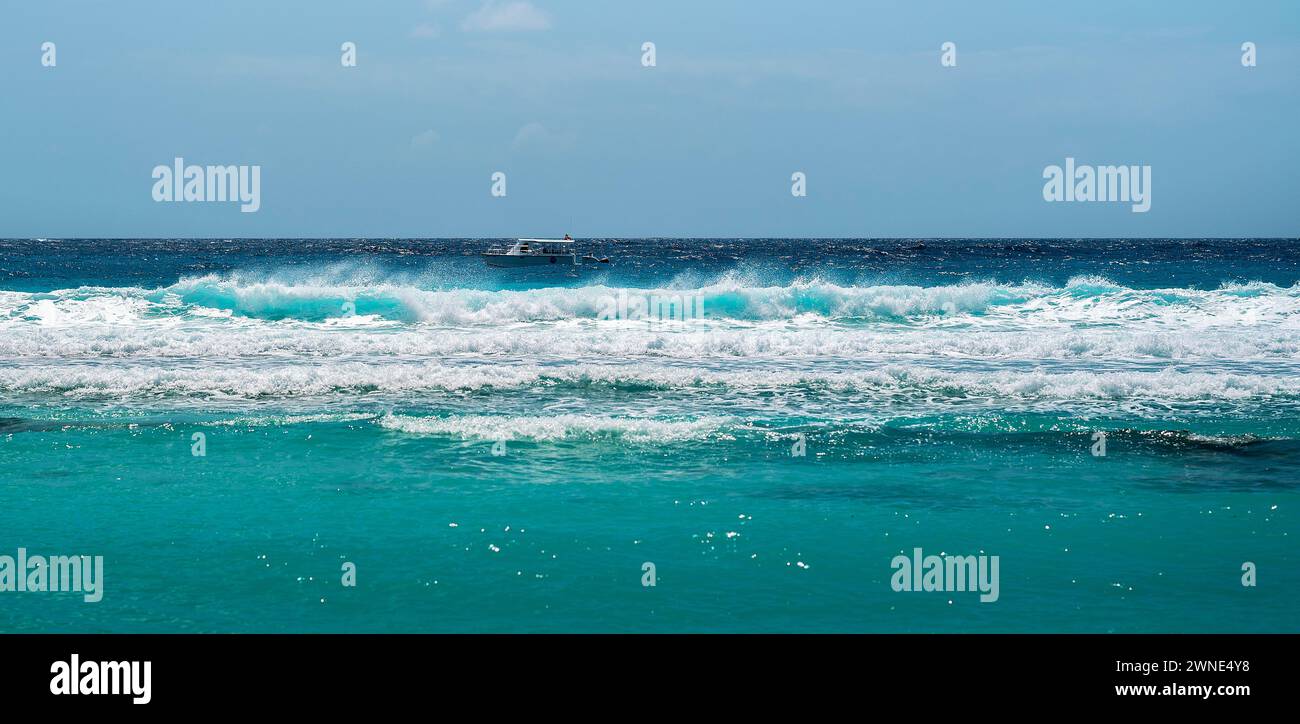 Invitant mer cristalline et surf moussant doucement sur les beaux sables doux de Rockley Beach, Barbade. Banque D'Images