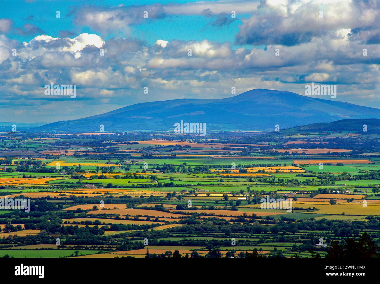 Une multitude de champs dans la Vale d'Or, pris du haut de la Vee Gap, Slievenamon,,, County Tipperary, Irlande Banque D'Images