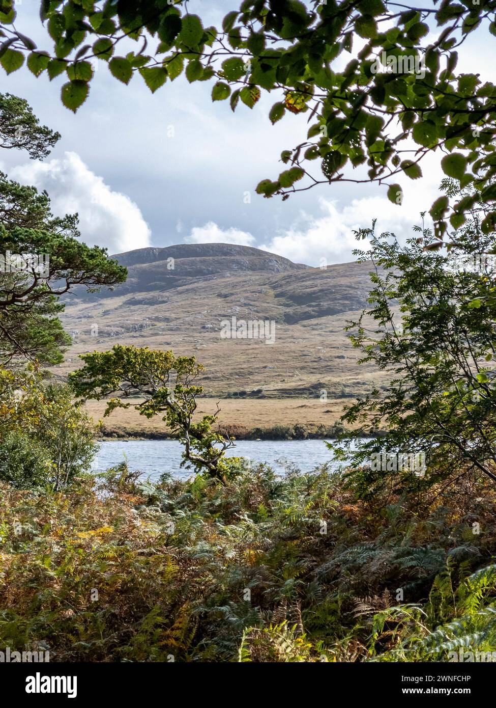 Lough Veagh, Parc national de Glenveagh - Donegal, Irlande. Banque D'Images