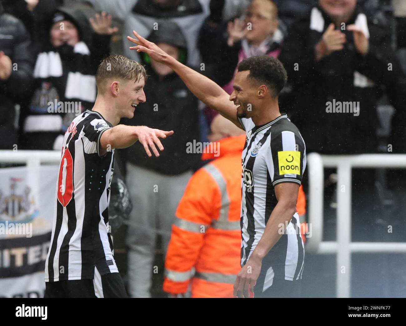 Newcastle upon Tyne, Royaume-Uni. 2 mars 2024. Anthony Gordon de Newcastle United célèbre son score contre Wolverhampton Wanderers lors du match de premier League James' Park, Newcastle upon Tyne. Le crédit photo devrait se lire : Nigel Roddis/Sportimage crédit : Sportimage Ltd/Alamy Live News Banque D'Images