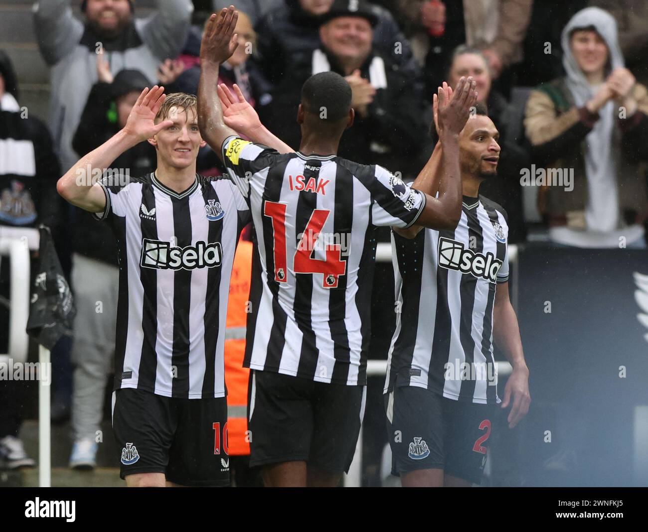 Newcastle upon Tyne, Royaume-Uni. 2 mars 2024. Anthony Gordon de Newcastle United célèbre son score contre Wolverhampton Wanderers lors du match de premier League James' Park, Newcastle upon Tyne. Le crédit photo devrait se lire : Nigel Roddis/Sportimage crédit : Sportimage Ltd/Alamy Live News Banque D'Images