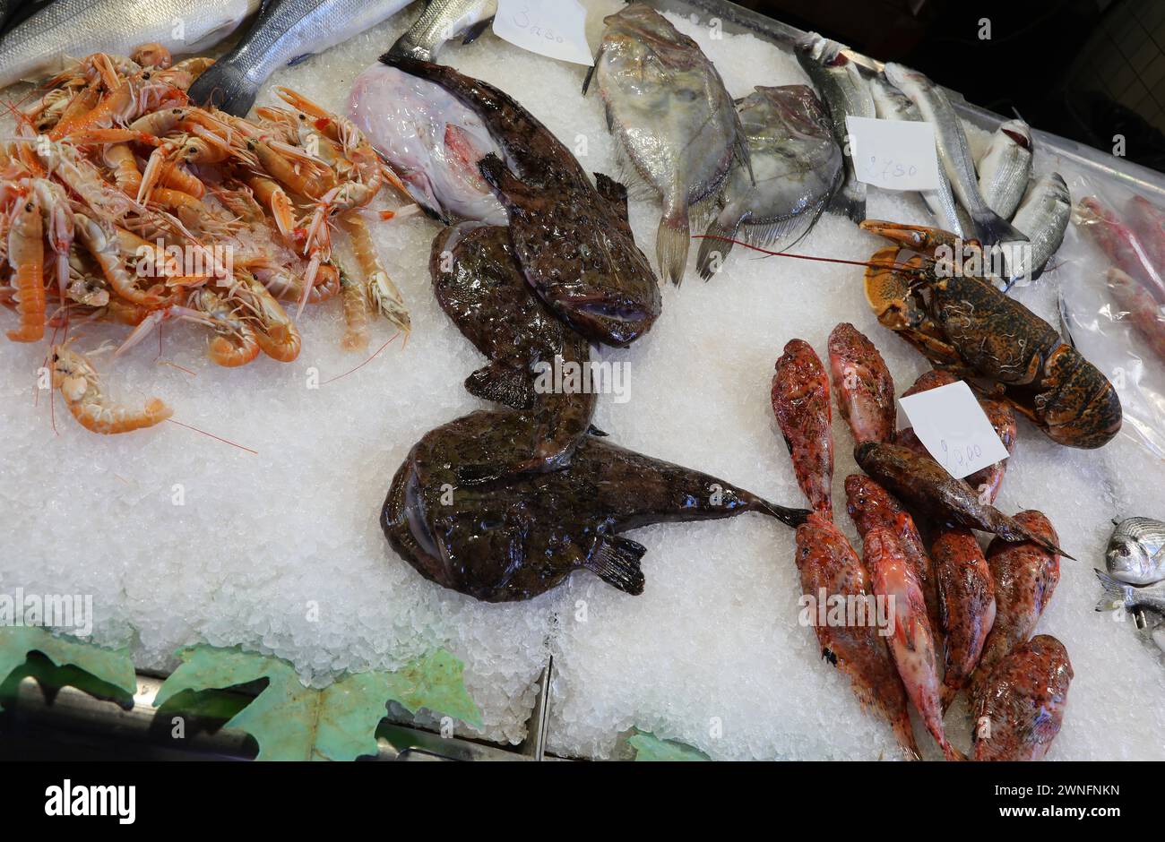 Poisson moine sur la glace du comptoir à vendre dans le magasin de poisson avec d'autres types de poissons tels que les calamars et le moorhen Banque D'Images