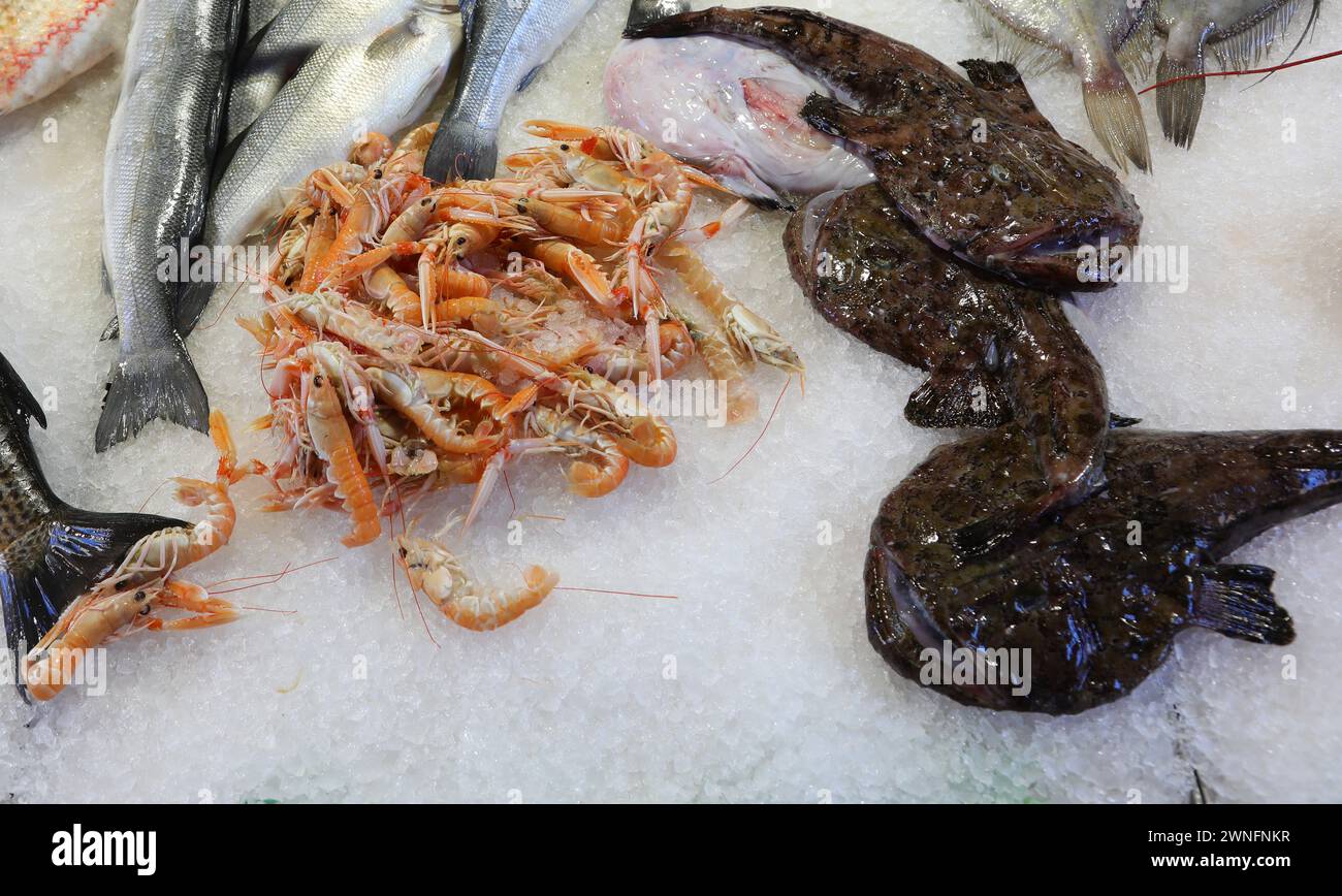 Poisson Monkfish sur la glace du comptoir à vendre dans la poissonnerie avec d'autres types de poissons tels que calmars et moorhen Banque D'Images