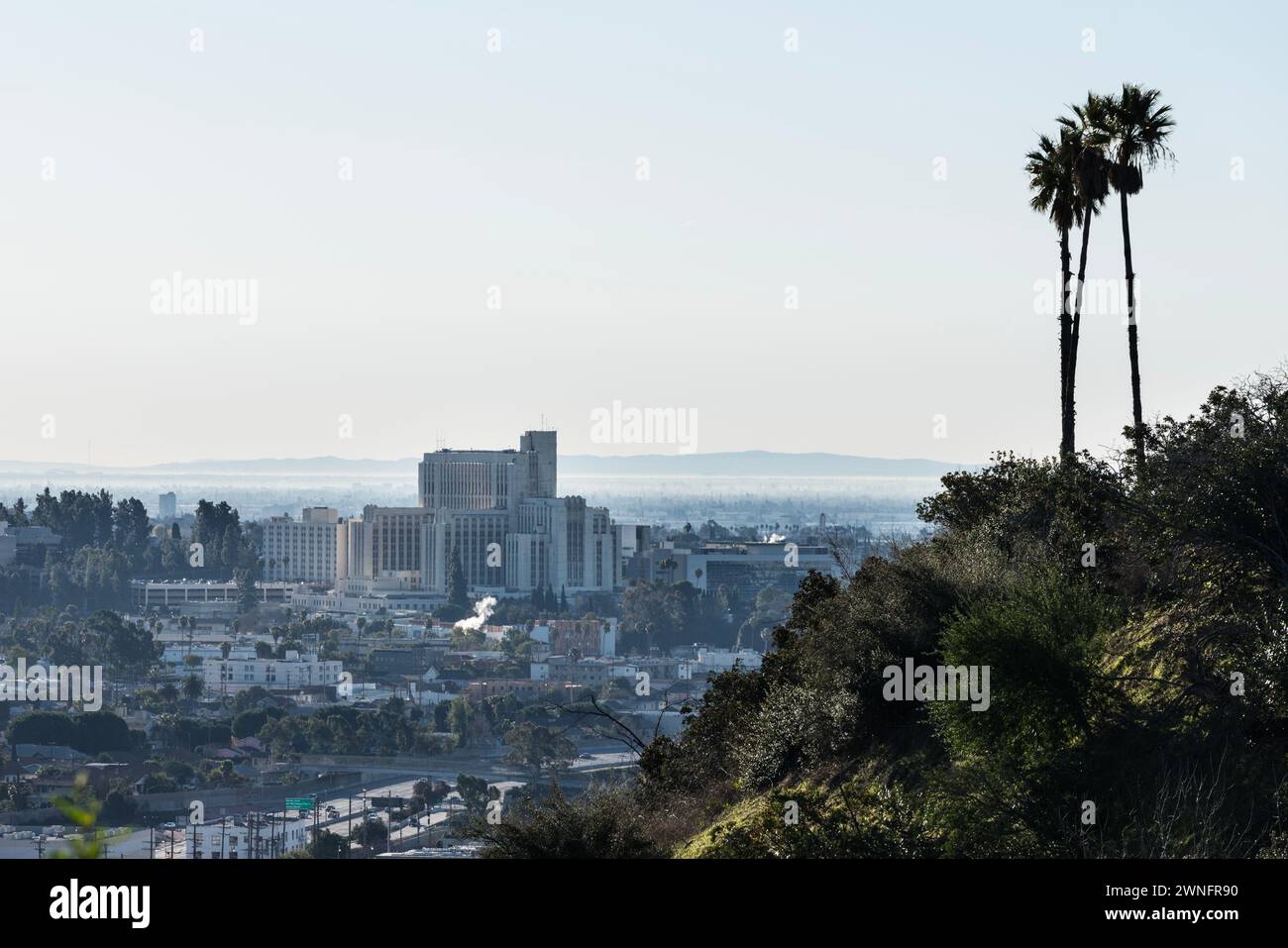 Vue panoramique sur le bâtiment historique art déco de l'hôpital du comté de Los Angeles avec des palmiers perchés. Banque D'Images