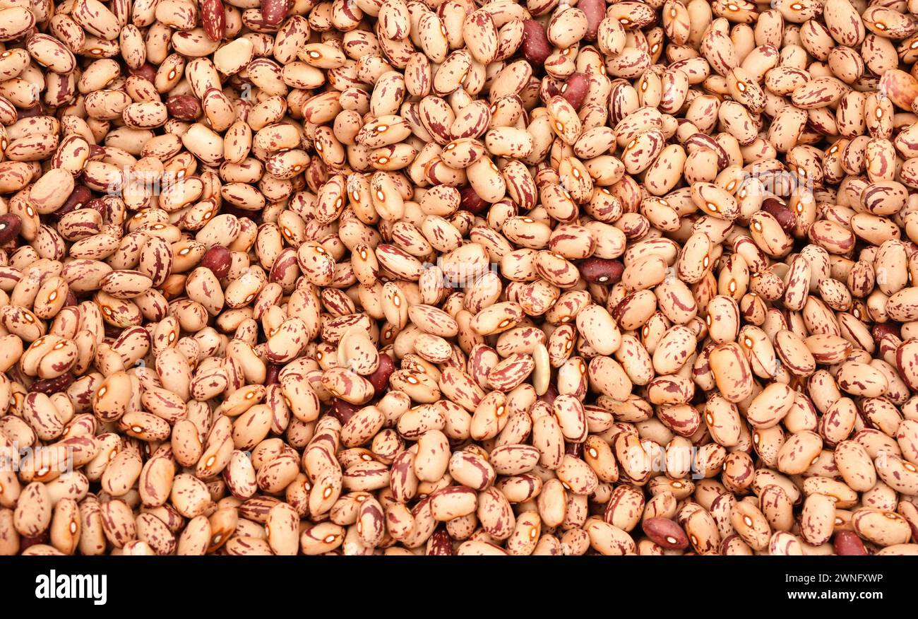 Vue de dessus fond plein cadre de graines de haricots saines non cuites séchées. Concept végétarien et nutritionnel Banque D'Images