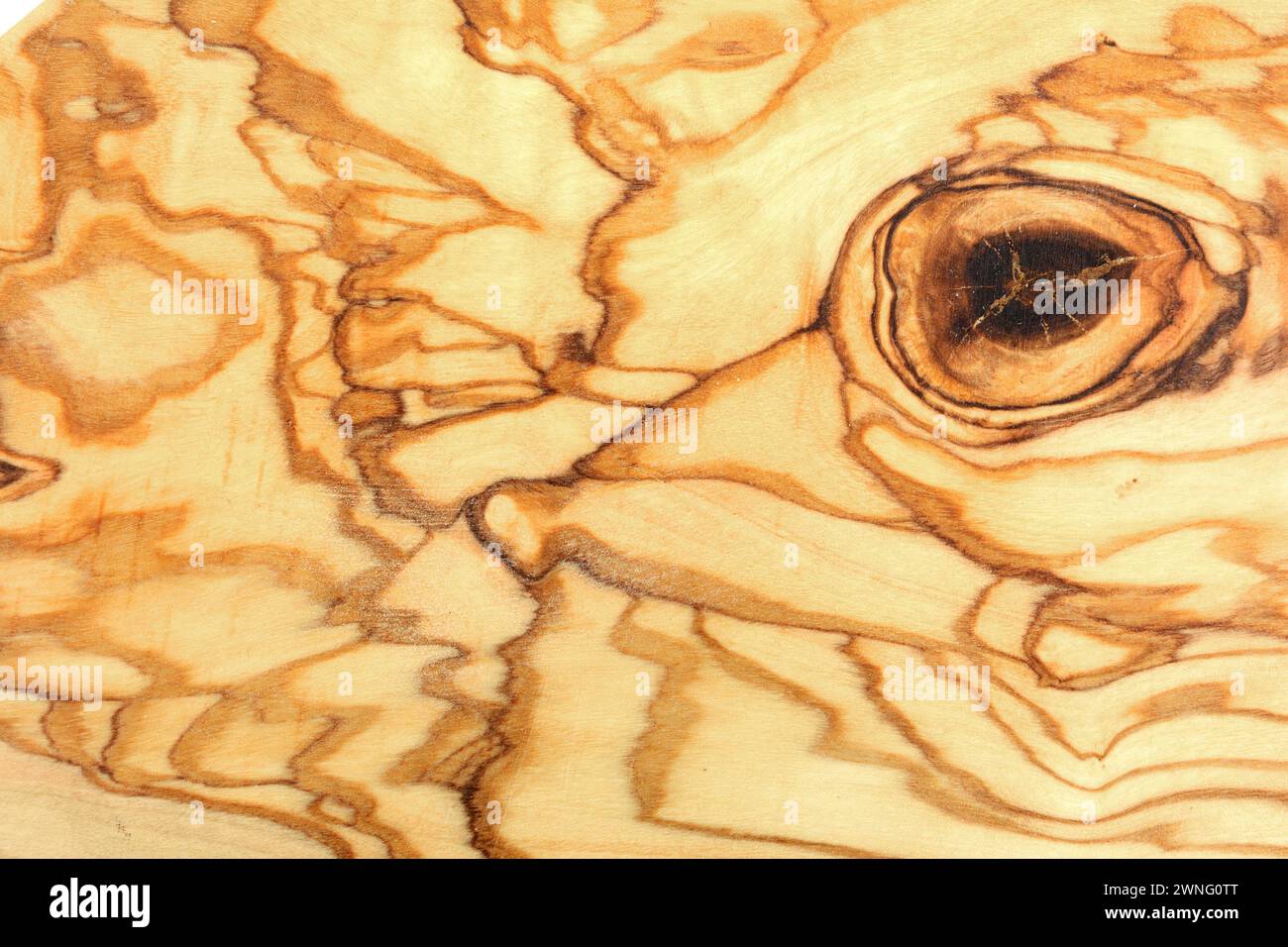 Fond de texture naturelle en bois d'olivier. Texture détaillée élevée du panneau de bois d'olivier, fond de bois d'olivier. Banque D'Images