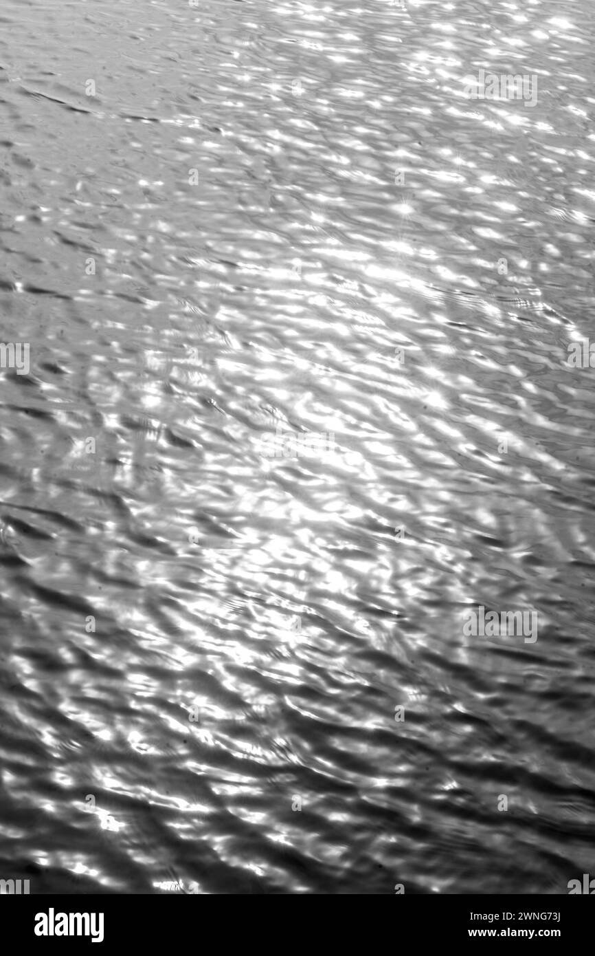 Des eaux scintillantes. Capturer l'essence des reflets ensoleillés. Sunshine reggae. Noir et blanc, monochrome. Banque D'Images
