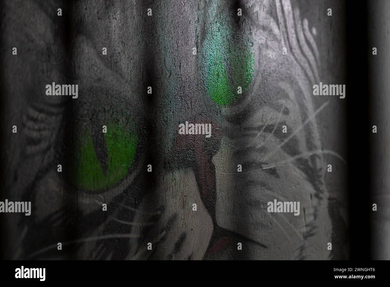 Street art 'chat aux yeux verts' dans le centre-ville de Reykjavik, Islande Banque D'Images