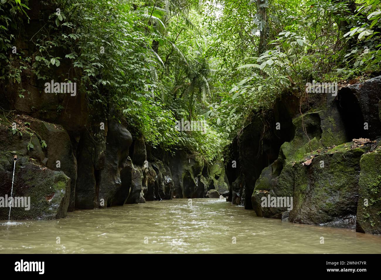 Une rivière de montagne dans la jungle sur l'île populaire de Bali Banque D'Images