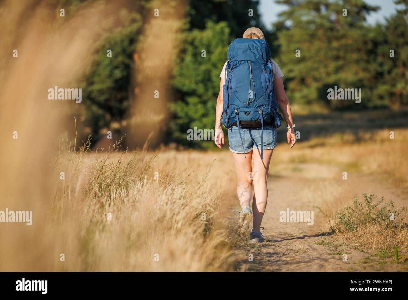 Randonneur solo avec sac à dos marche sur le sentier pédestre. Femme randonnée sur le sentier de trekking dans la nature estivale Banque D'Images