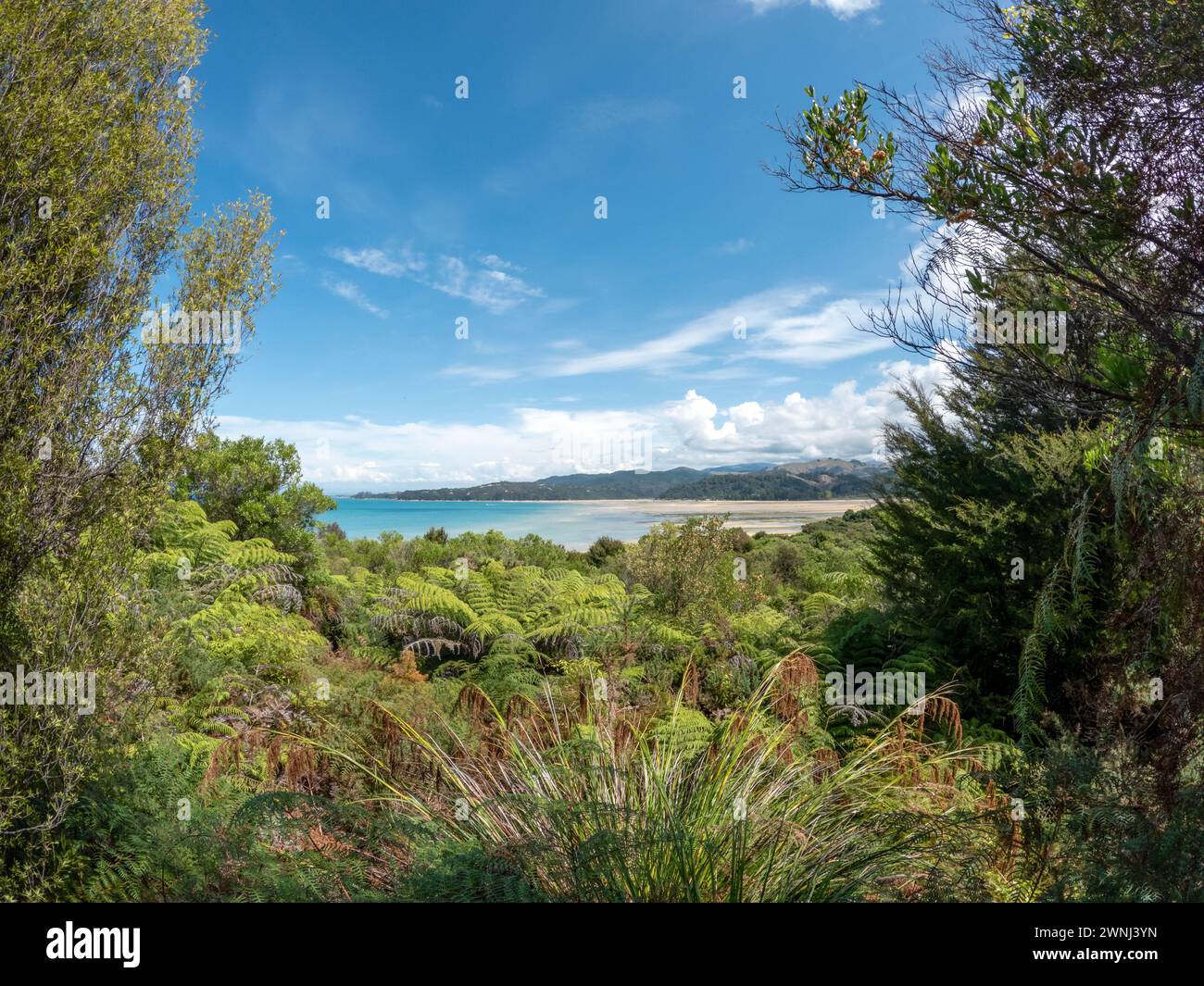 Parc national d'Abel Tasman magnifique paysage côtier avec plages dorées, eaux cristallines et Bush indigène luxuriant Banque D'Images