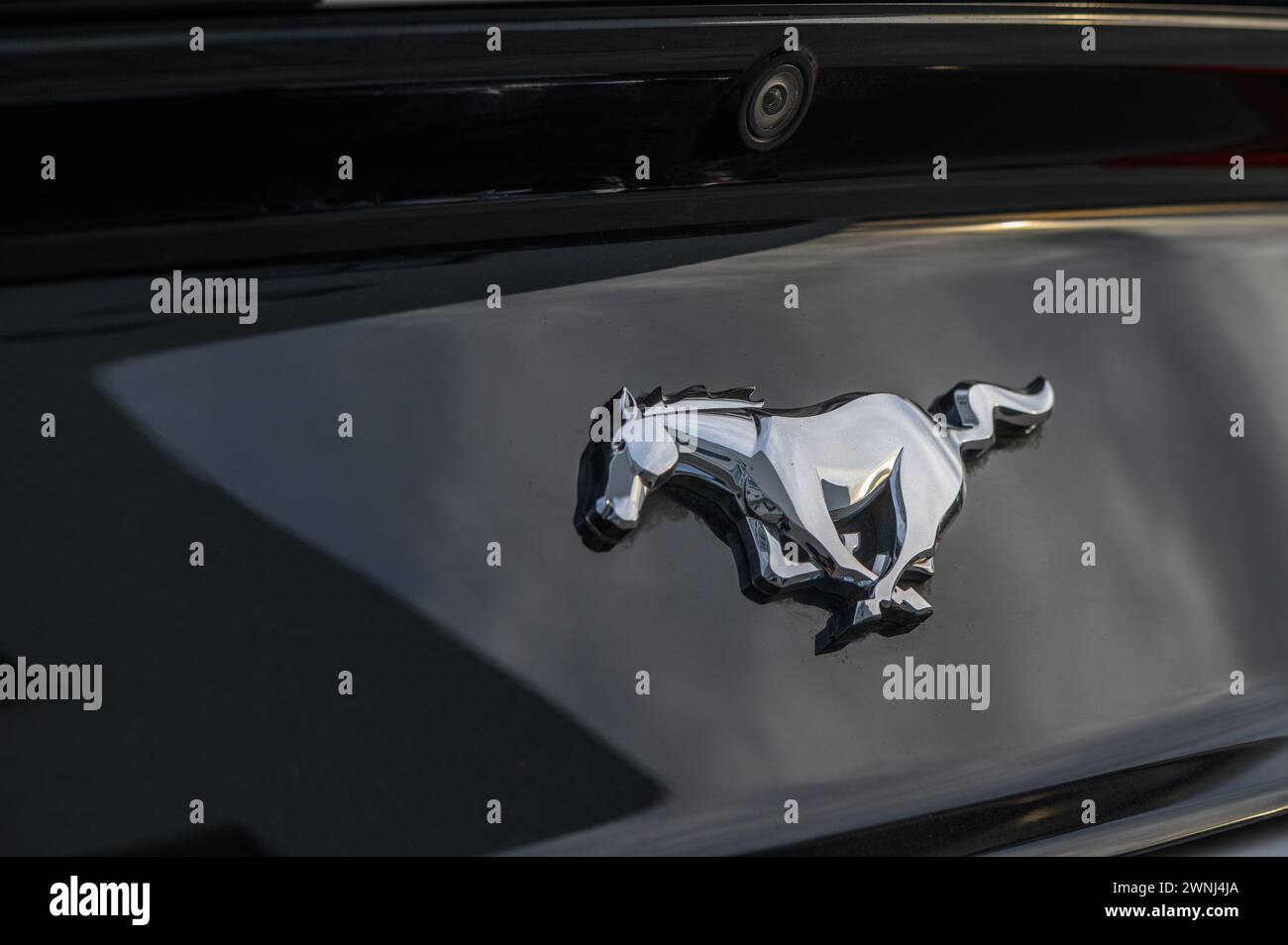 02.29.2024 Gazeveren Chypre - emblème Ford Mustang sur un couvercle de coffre noir 4 Banque D'Images
