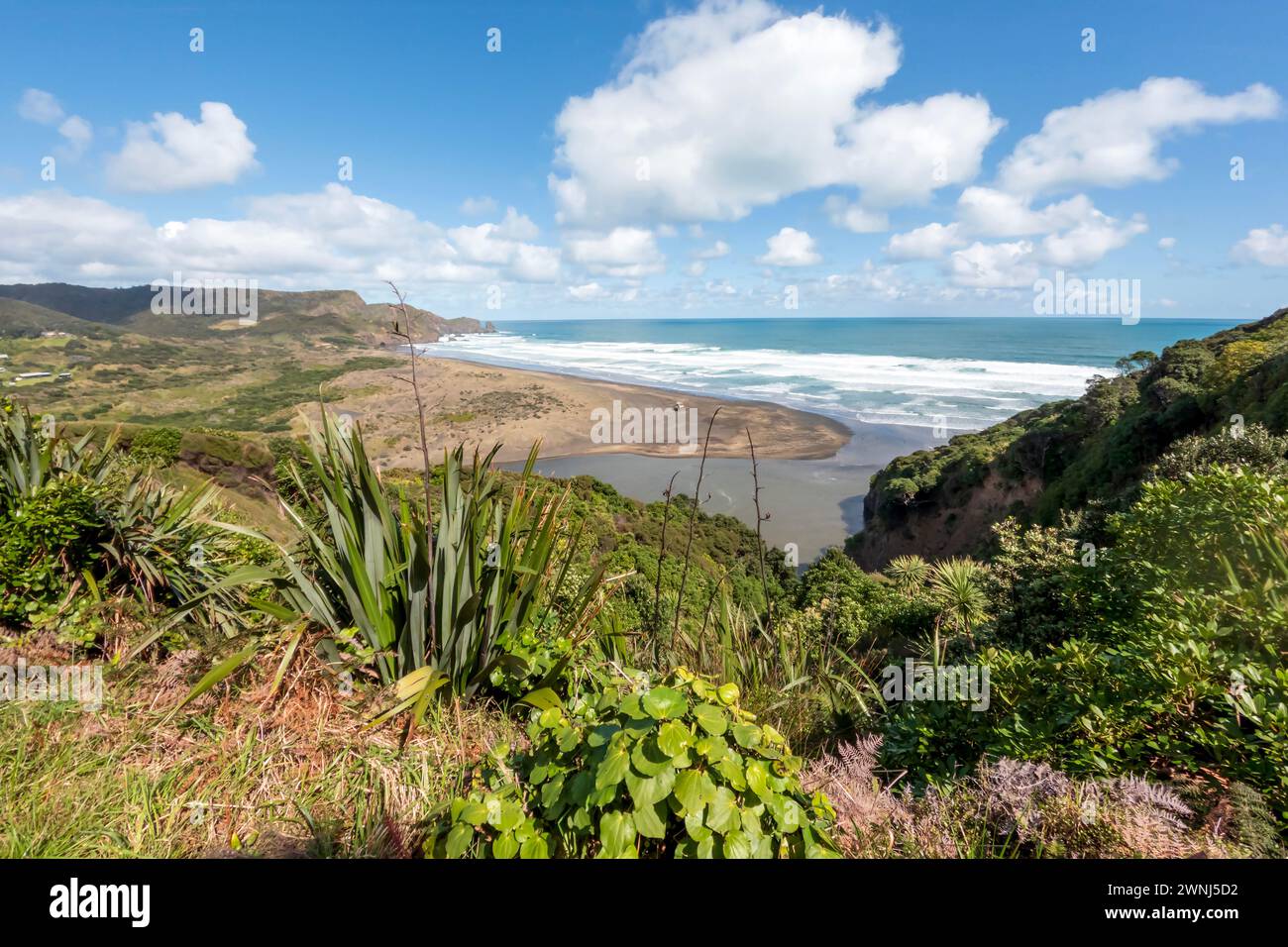 Sentier côtier te Henga : plage de Bethells, Nouvelle-Zélande – plages de sable noir sereines et paysages verdoyants Banque D'Images