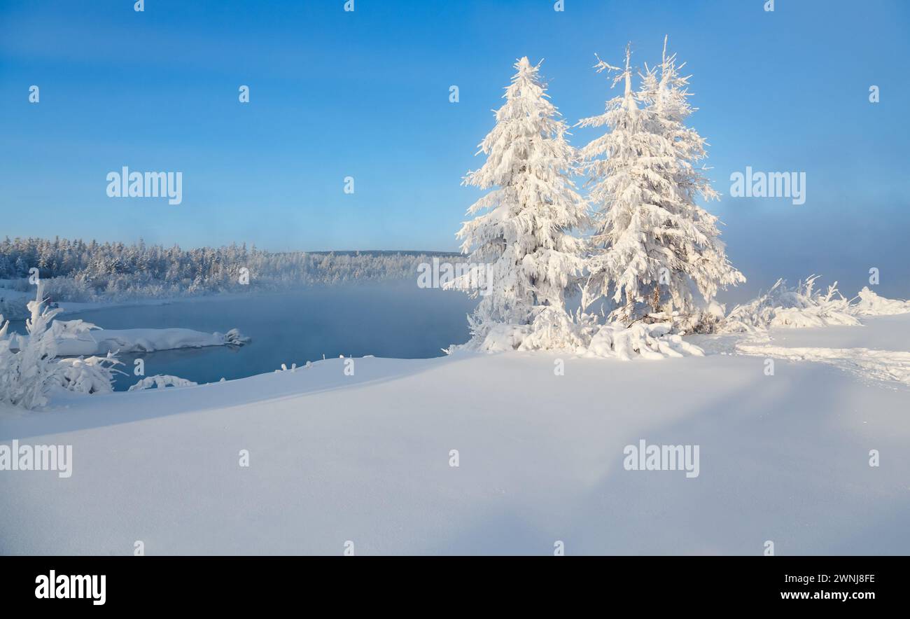 Arbres couverts de gel sur la rive d'un lac non gelé. Paysage hivernal sur la rive d'un réservoir dans le sud de la Yakoutie, Russie Banque D'Images