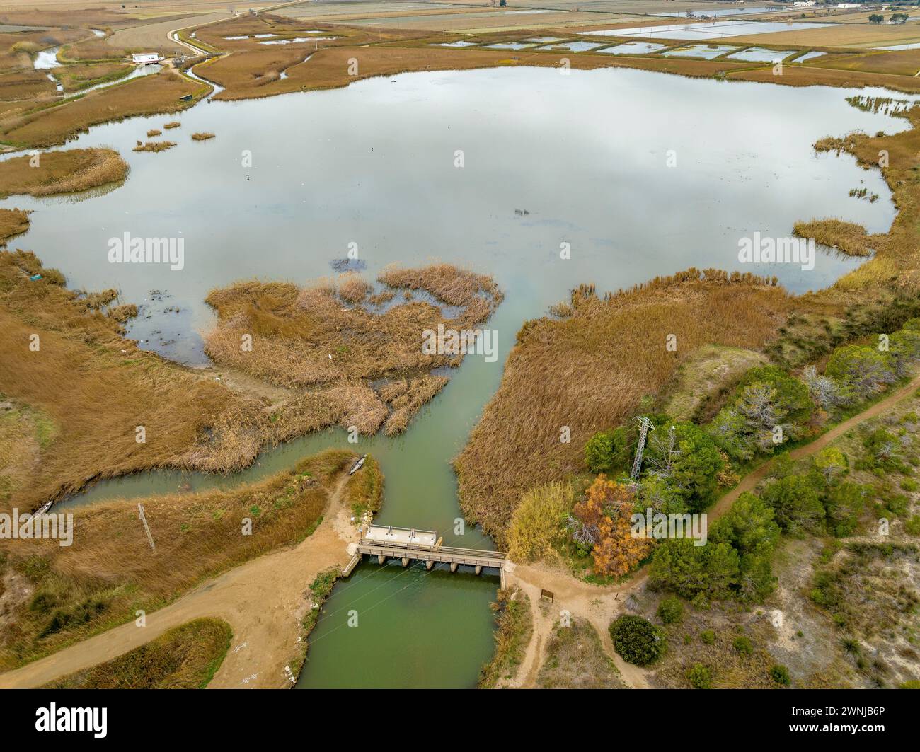 Vue aérienne de la zone humide de Bassa de les Olles en hiver, au nord du delta de l'Èbre (Tarragone, Catalogne, Espagne) ESP : Vista aérea de un humedal Banque D'Images