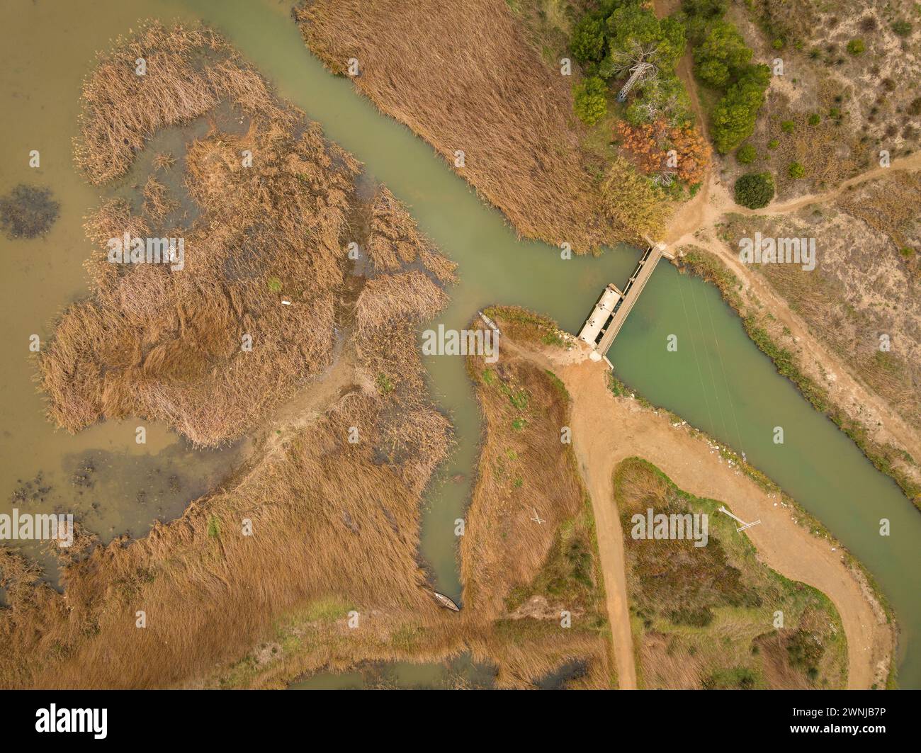 Canal de drainage près de l'étang de Bassa de les Olles, au nord du delta de l'Èbre, un matin d'hiver (Tarragone, Catalogne, Espagne) ESP : canal de desagüe Banque D'Images