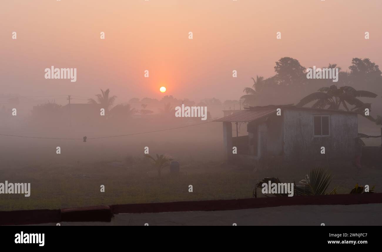 Paysage avec lever de soleil dans les terres agricoles rurales en Inde. Lever de soleil brumeux dans les plantations de Goa. Tôt le matin, jeux légers avec brouillard et arbres. Indien traditionnel Banque D'Images