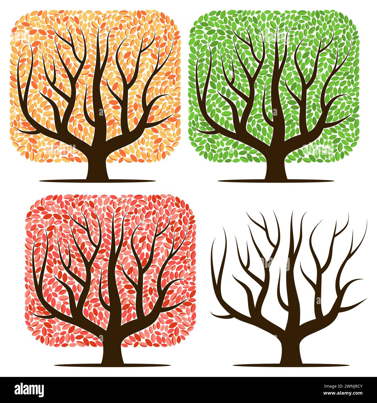 Quatre arbres avec des feuilles vertes, rouges, jaunes et sans feuilles. Illustration vectorielle isolée sur un fond blanc Illustration de Vecteur