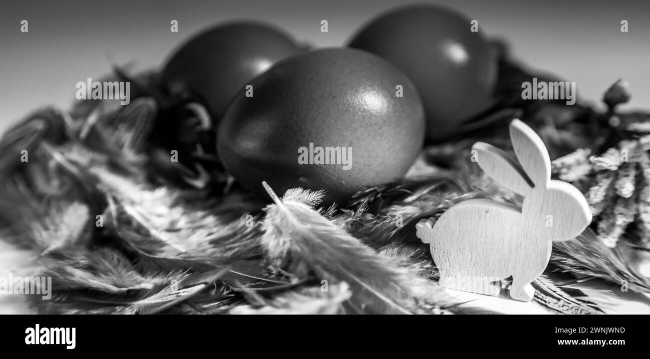 01.03.2024, Handenberg, AUT, Unterwegs in Oberösterreich, Themenbild, Verschiedene Themenbilder, Symbolbild, Ostern, Ostereier, Osterei, Schriftzug, im Bild Osternest, Ostergrüße, Frohe Ostern Gruß auf einem Osterhase in einem vollen Osternest mit bunten Ostereiern, *** 01 03 2024, Handenberg, AUT, Unterwegs in Oberösterreich, thème, diverses images de thème, image de symbole, Pâques, oeufs de Pâques, oeuf de Pâques, lettrage, dans l'image nid de Pâques, salutations de Pâques, joyeuses salutations de Pâques sur un lapin de Pâques dans un nid de Pâques complet avec des œufs de Pâques colorés, Banque D'Images