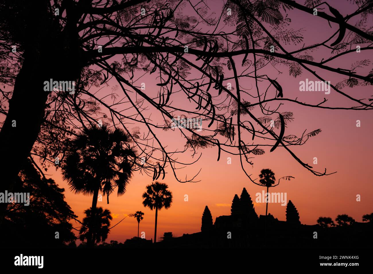 Angkor Wat, un complexe de temples bouddhistes-hindous classé au patrimoine mondial de l'UNESCO, à l'aube, près de Siem Reap, Cambodge Banque D'Images